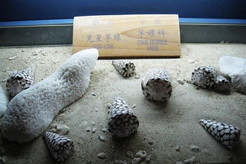 亚龙湾滨海世界第 49 张图片