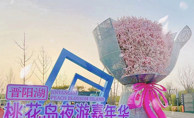 晋阳湖桃花岛灯会第 1 张图片