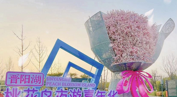 晋阳湖桃花岛灯会