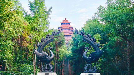 楚天台第 1 张图片