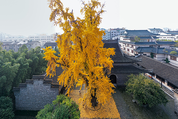 扬州八怪纪念馆第 5 张图片