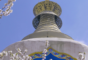 塔尔寺第 25 张图片
