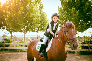 纵横马术培训基地（丰台南宫店）