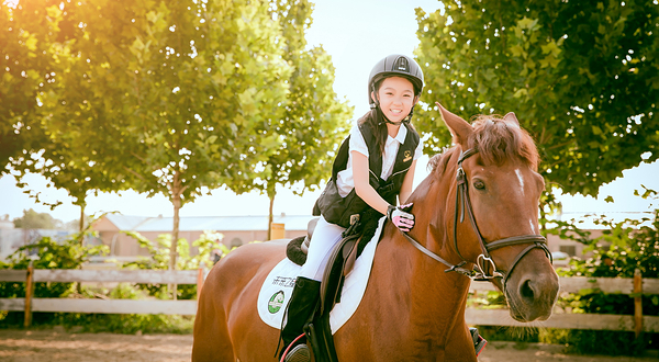 纵横马术培训基地（丰台南宫店）