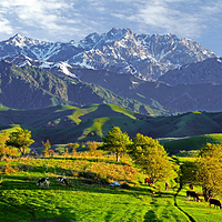 中华福寿山景区
