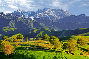 中华福寿山景区