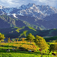 中华福寿山景区