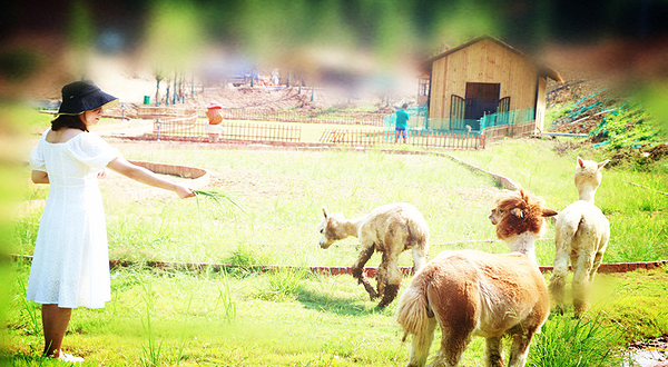 丽江田园艺术小镇