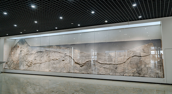 大墅龙山天造博物馆