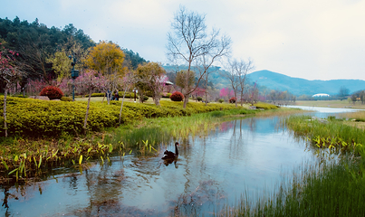 牛首山文化旅游区第 341 张图片