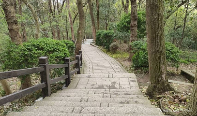 东佘山园-乾隆古道第 2 张图片