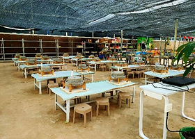 仁南村蘑法生态农场