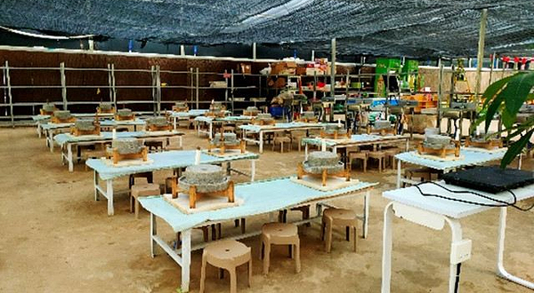 仁南村蘑法生态农场