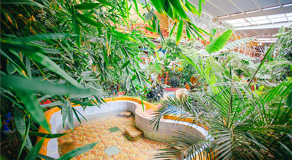 湛路村水上乐园