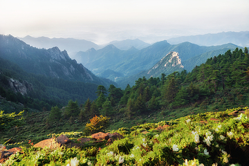 芦芽山旅游度假区第 62 张图片