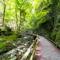 牛背梁国家级自然保护区