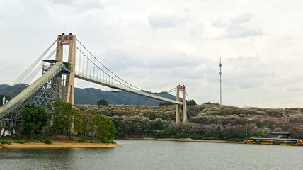 蓝田紫林旅游度假区第 141 张图片
