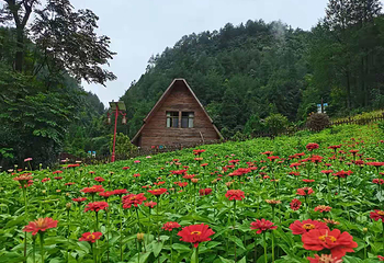 百花谷旅游度假区第 12 张图片