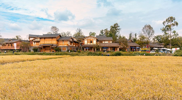 天府新区官塘村