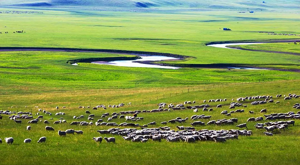 白音哈达旅游度假区