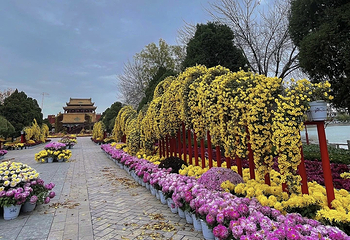 宋都皇城旅游度假区第 112 张图片