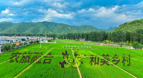 北京圣泉山水·稻田景区