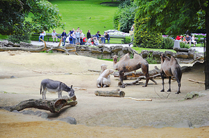 安特卫普动物园