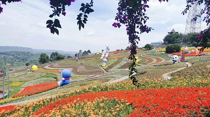 彩山四季花海第 1 张图片