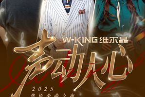 临沂 · 声动人心演唱会