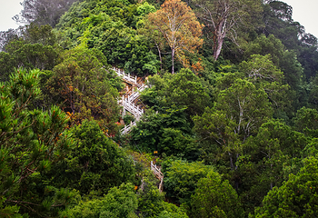 午子山风景名胜区第 16 张图片