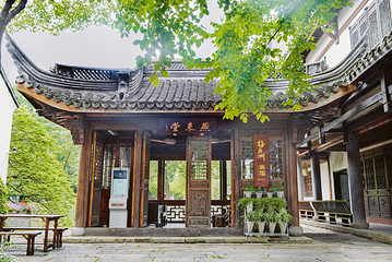梅花洲第 41 张图片