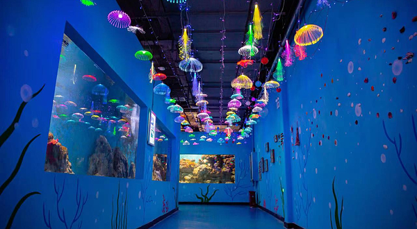 安阳万意长风海洋探索馆