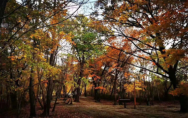 回龙山生态田园旅游区第 38 张图片