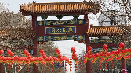 凤凰公园第 1 张图片