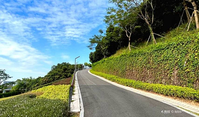 大雁山第 1 张图片