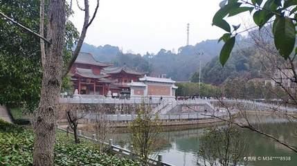 谷山森林公园第 1 张图片