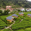 三峡月亮花谷乡村旅游区