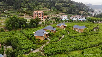 湖北三峡月亮花谷生态旅游风景区