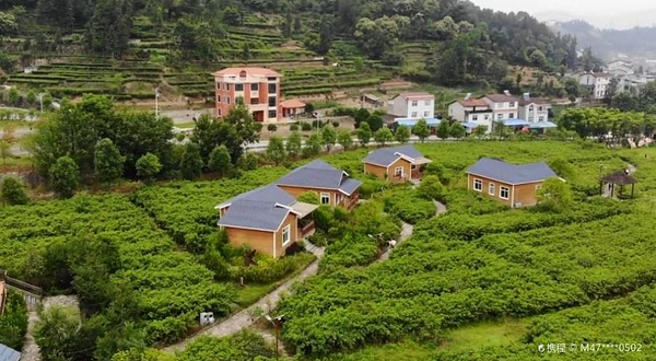 湖北三峡月亮花谷生态旅游风景区