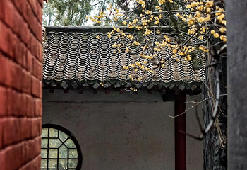 白马寺第 36 张图片