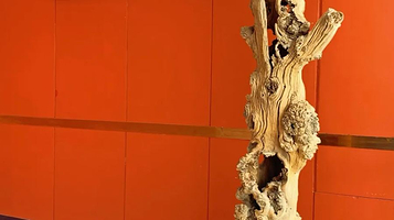 苏州三元美术馆