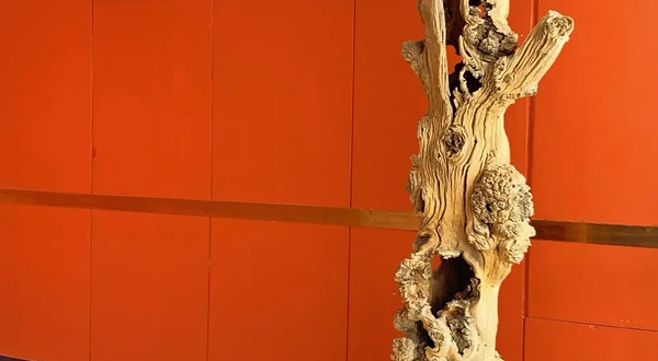 苏州三元美术馆