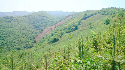 天门山第 1 张图片