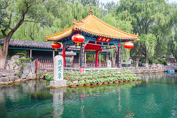 趵突泉景区第 27 张图片