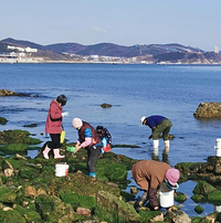 神州半岛赶海基地