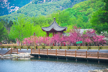 泰山风景区第 176 张图片