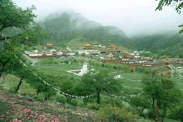 贺兰山广宗寺（南寺）生态旅游区第 56 张图片