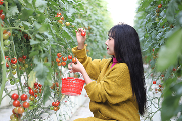 岭南大地百草园第 24 张图片