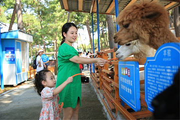 东江湖凤凰岛景区第 13 张图片