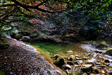 萍乡武功山风景区第 188 张图片
